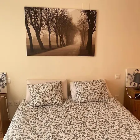 Apartamento Precioso Apartamento En Zona Residencial Panticosa