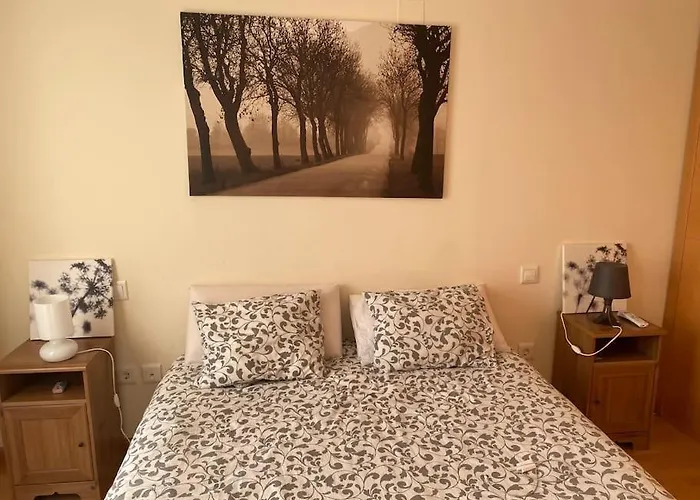 Lägenhet Precioso Apartamento En Zona Residencial Panticosa